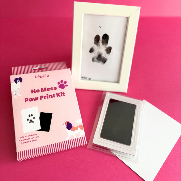Paw Print Kit  | Babelle - Babelle