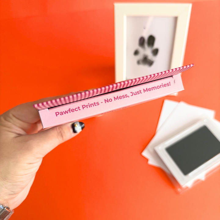Paw Print Kit  | Babelle - Babelle