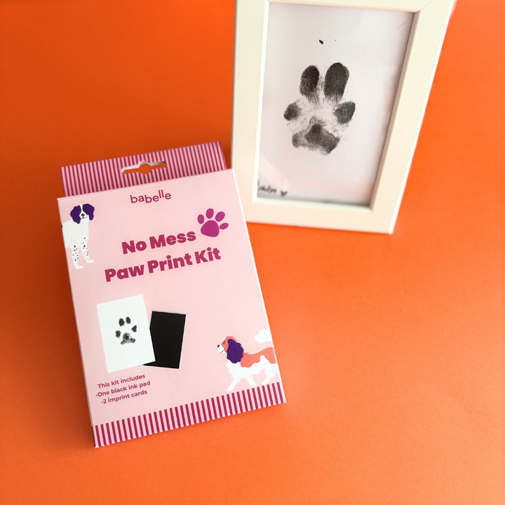 Paw Print Kit  | Babelle - Babelle