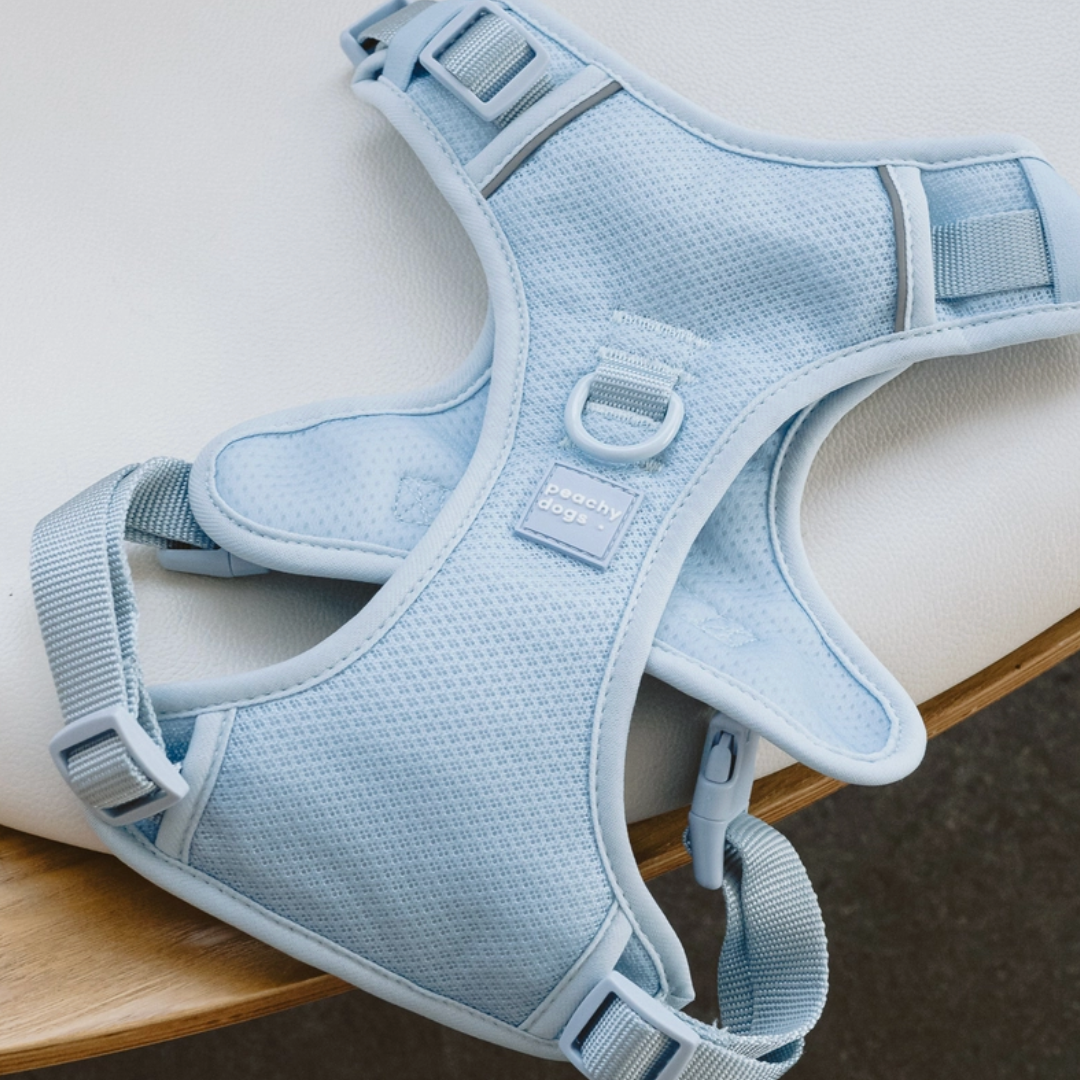 Cloud Harness| Peachy Dogs - Babelle