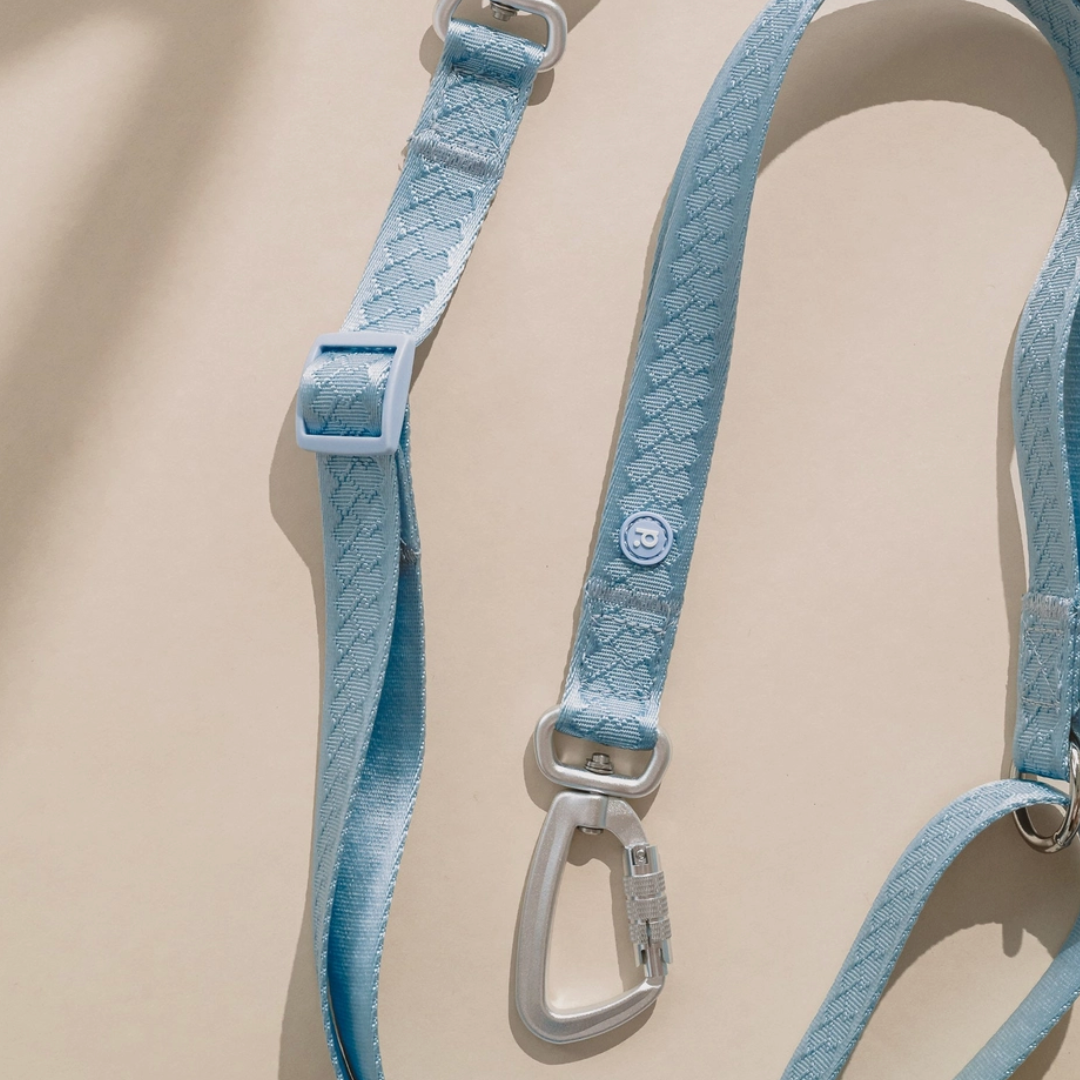 Cloud Hands-Free Leash | Peachy Dogs - Babelle