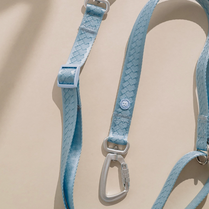 Cloud Hands-Free Leash | Peachy Dogs - Babelle