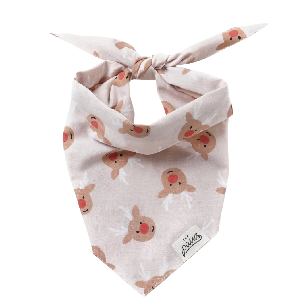 Rudolph Christmas bandana  | The Paws - Babelle
