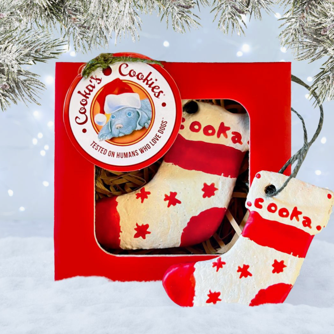 Santa's Boot Cookie | Cooka's Cookies - Babelle