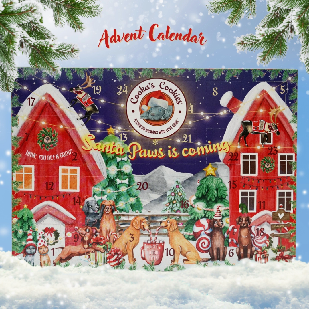 Christmas Advent Calendar | Cooka's Cookies - Babelle