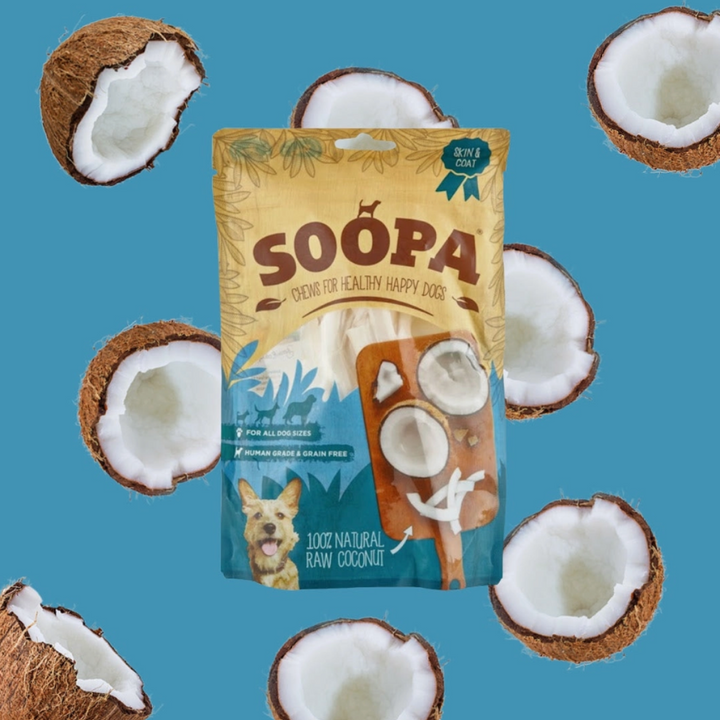 Coconut Chews | Soopa - Babelle