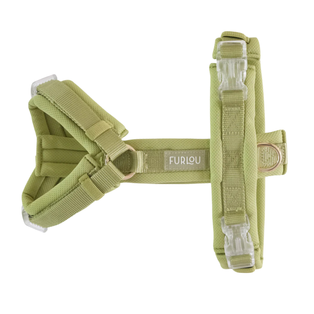 Lime Green Comfort Harness| Furlou - Babelle