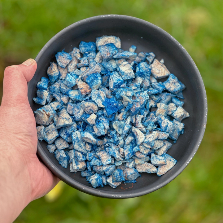 Chicken & Blue Spirulina Treats | Hokuō - Babelle