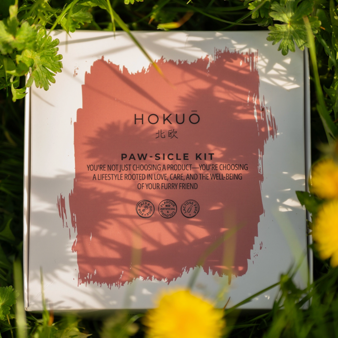 Ice Cream Kit - Freeze Dried  | Hokuō - Babelle