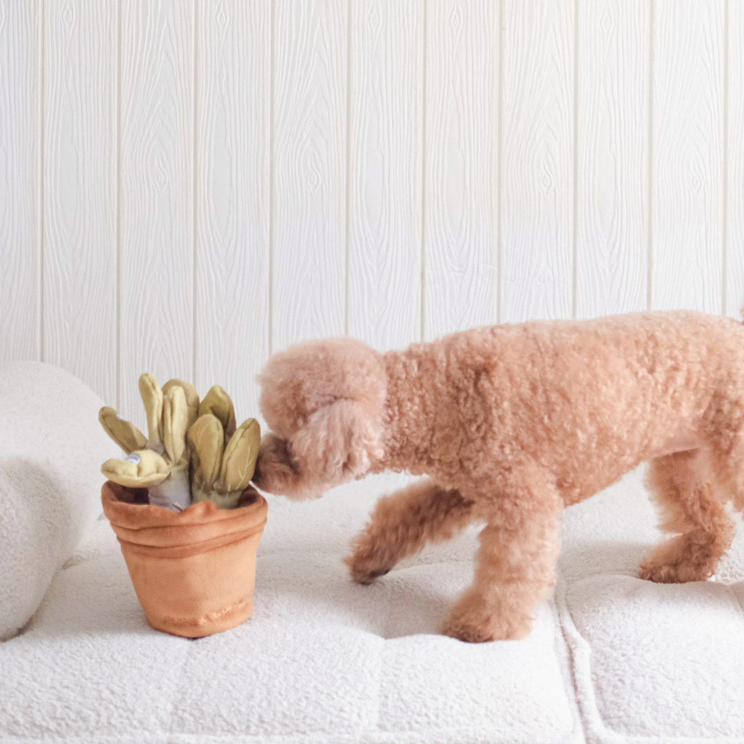 Veggie Garden  | Pups & Bubs - Babelle