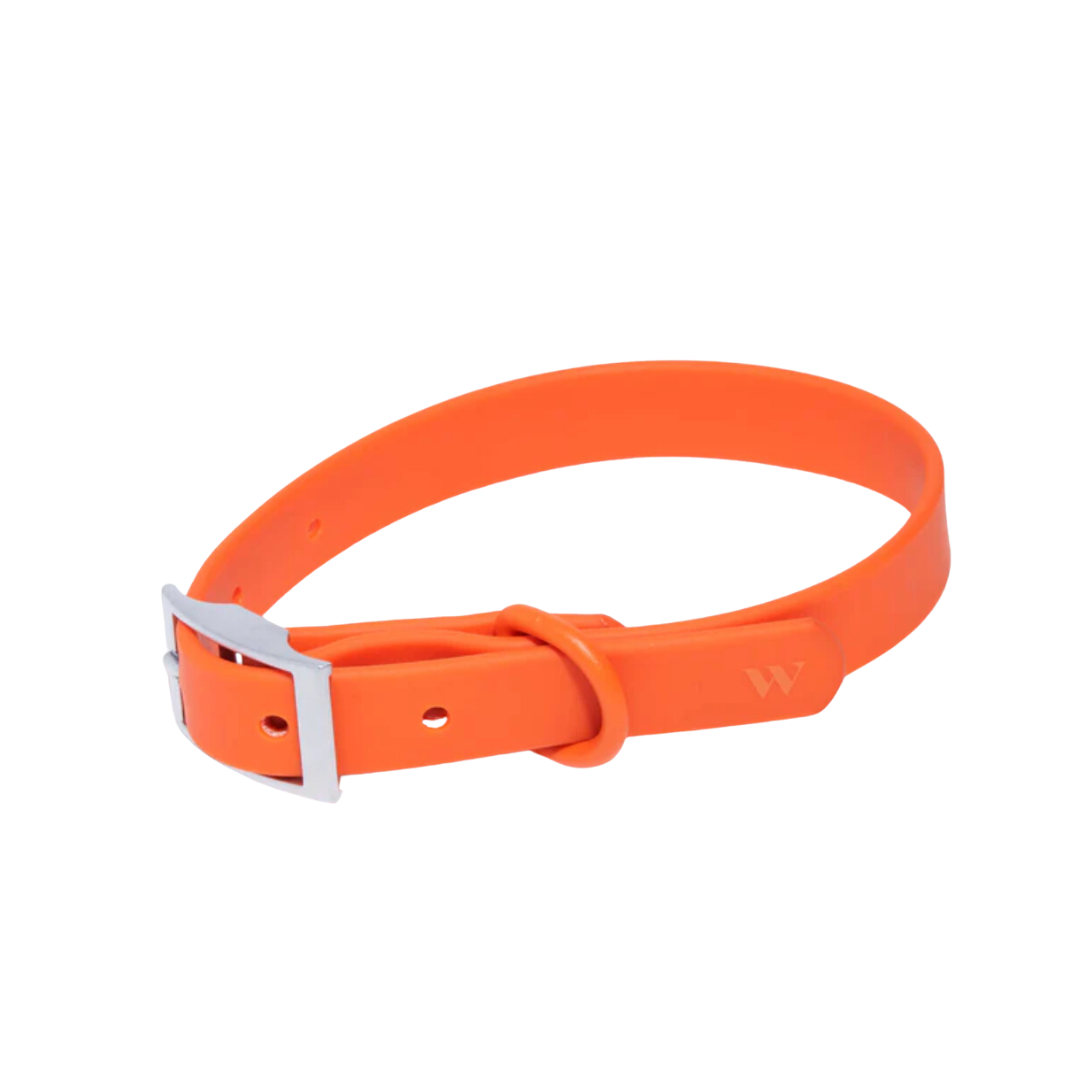 Orange Blaze Collar | Wild One - Babelle