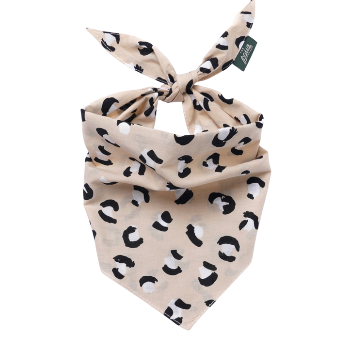 Urban Dog | The Paws - Babelle