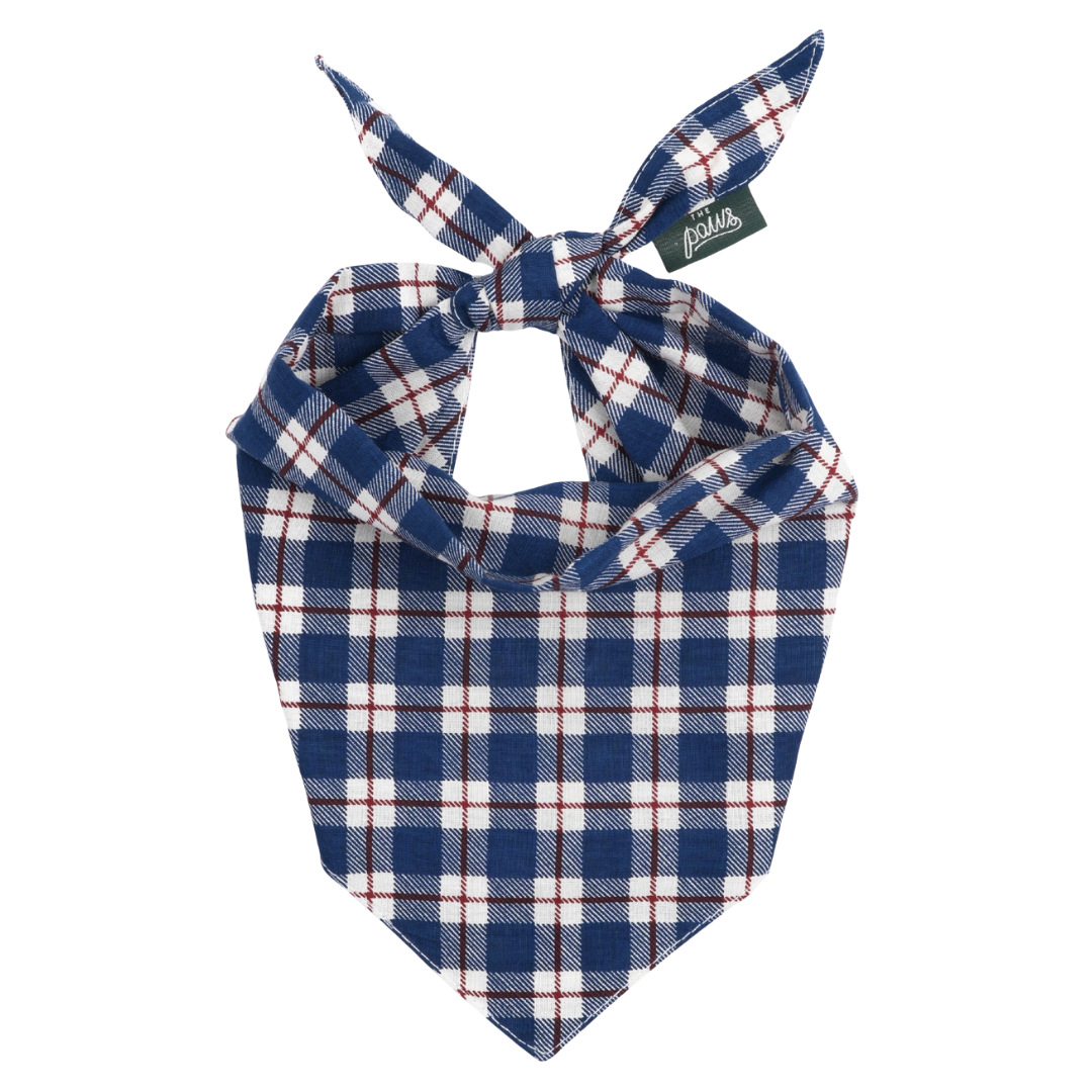 Apres Winter Dog | The Paws - Babelle