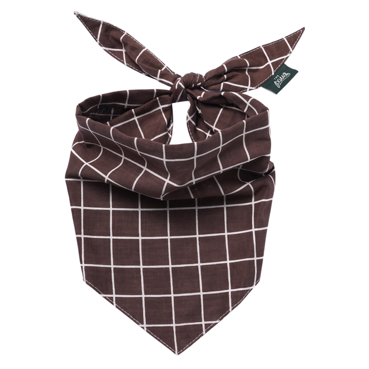 Stratford Dog | The Paws - Babelle