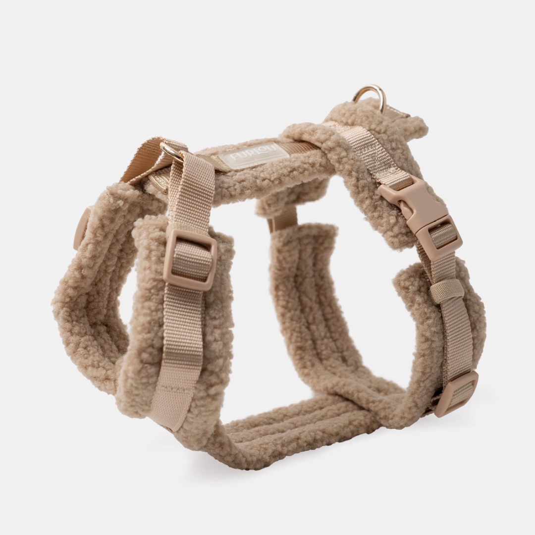 Sand Sherpa Harness | Furlou - Babelle