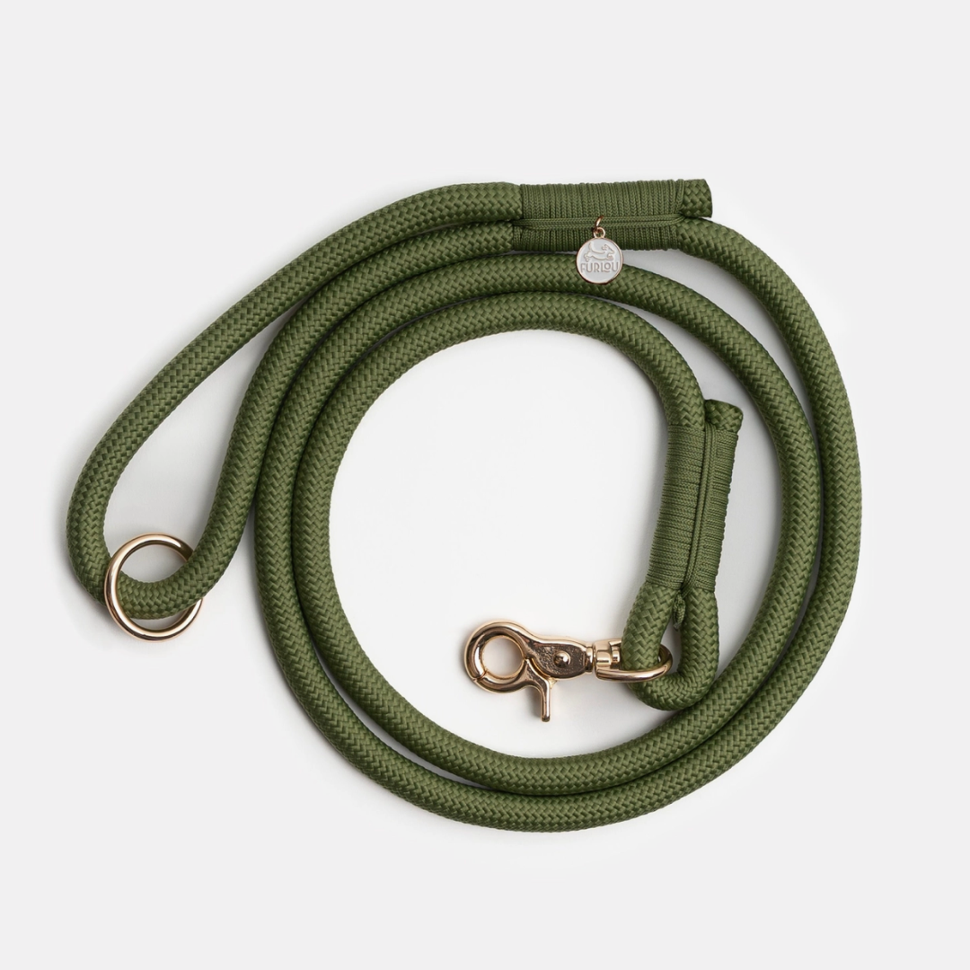 Green Leash | Furlou - Babelle