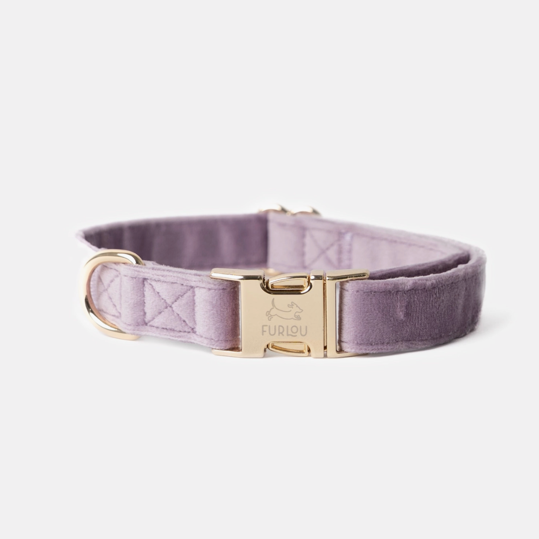 Lilac Velvet collar | Furlou - Babelle