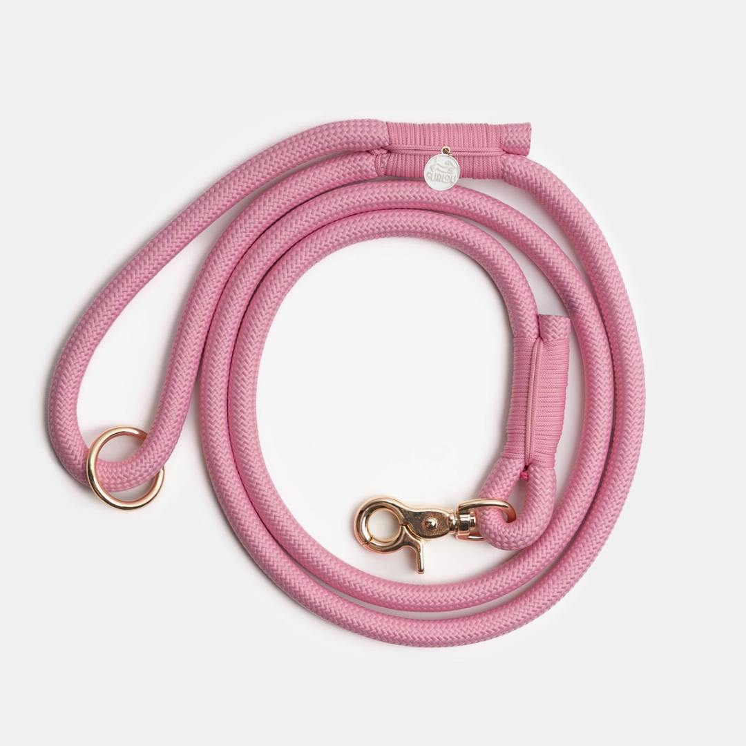 Pink Leash | Furlou - Babelle
