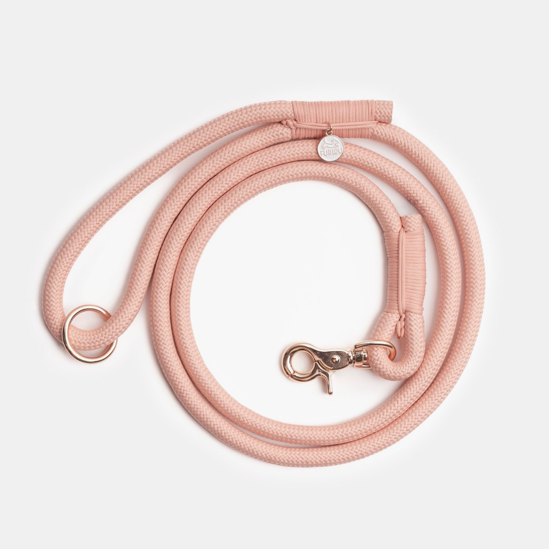 Powder Rose Leash | Furlou - Babelle
