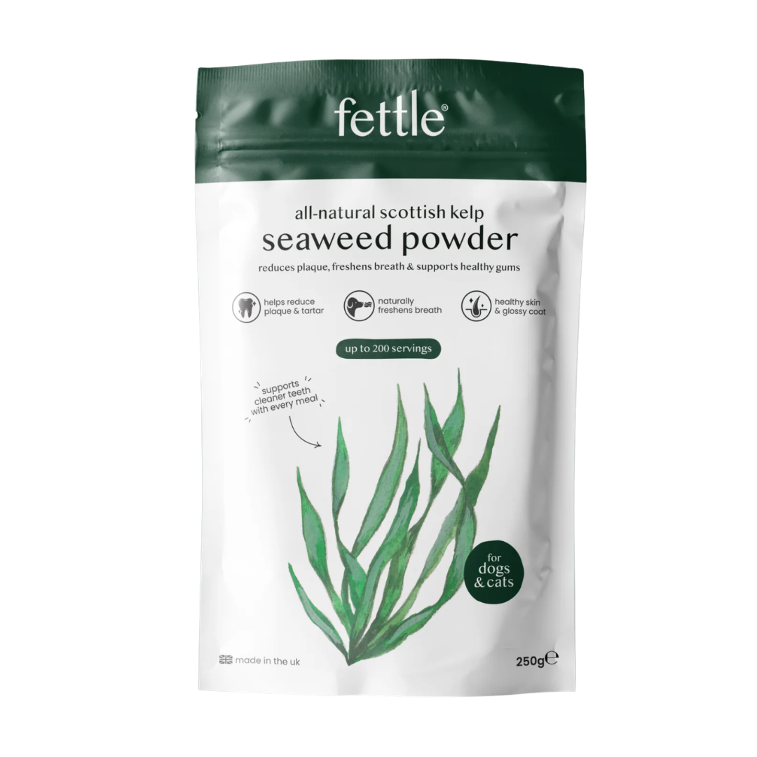 Kelp Seaweed | Fettle - Babelle