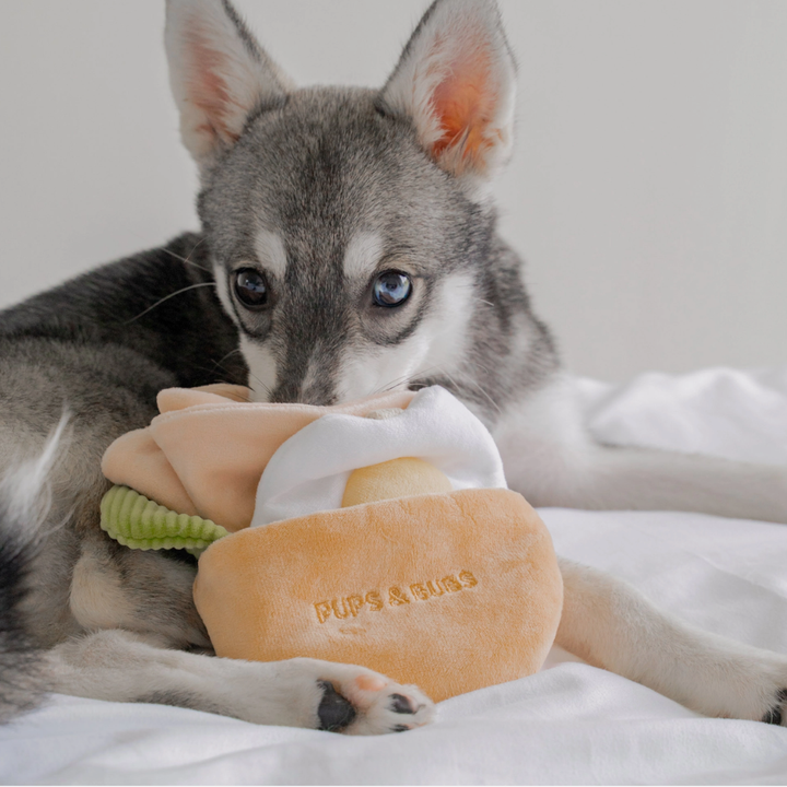 Pita Pocket Snuffle toy  | Pups & Bubs