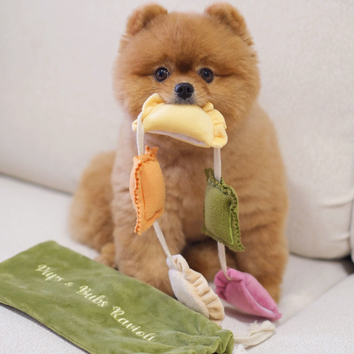 Ravioli Snuffle toy  | Pups & Bubs