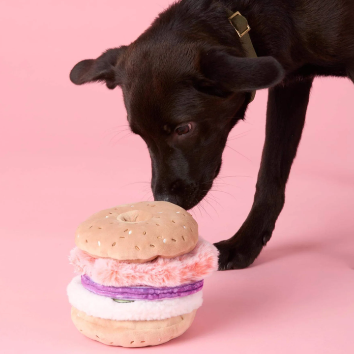 Bagel Snuffle Toy| The Foggy Dog