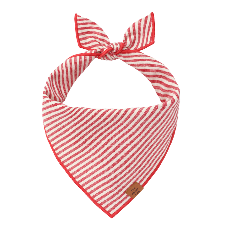 Red Stripe Bandana | The Foggy Dog