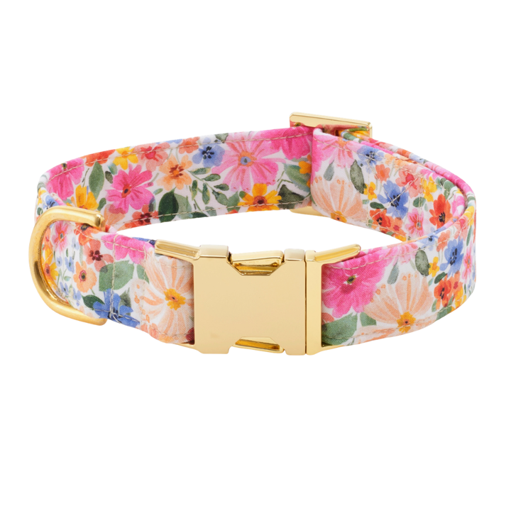 Margaux Collar | The Foggy Dog