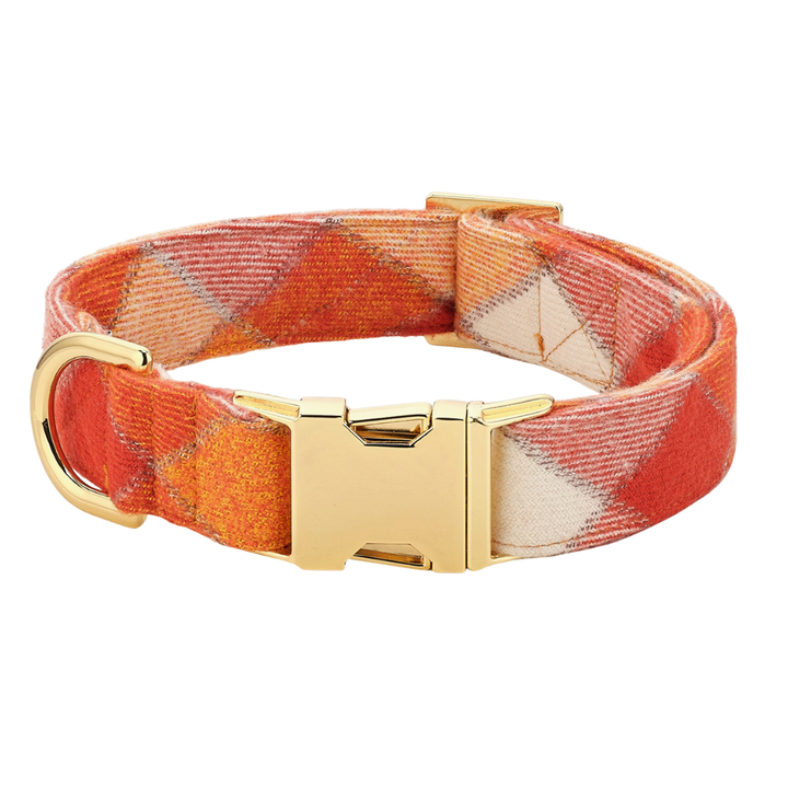 Pumpkin Spice Collar | The Foggy Dog