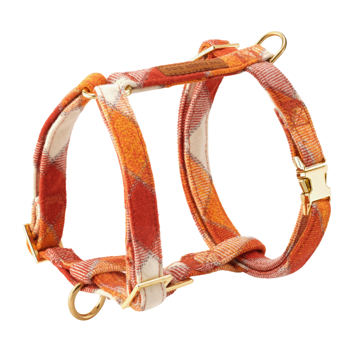 Pumpkin Spice Harness| The Foggy Dog