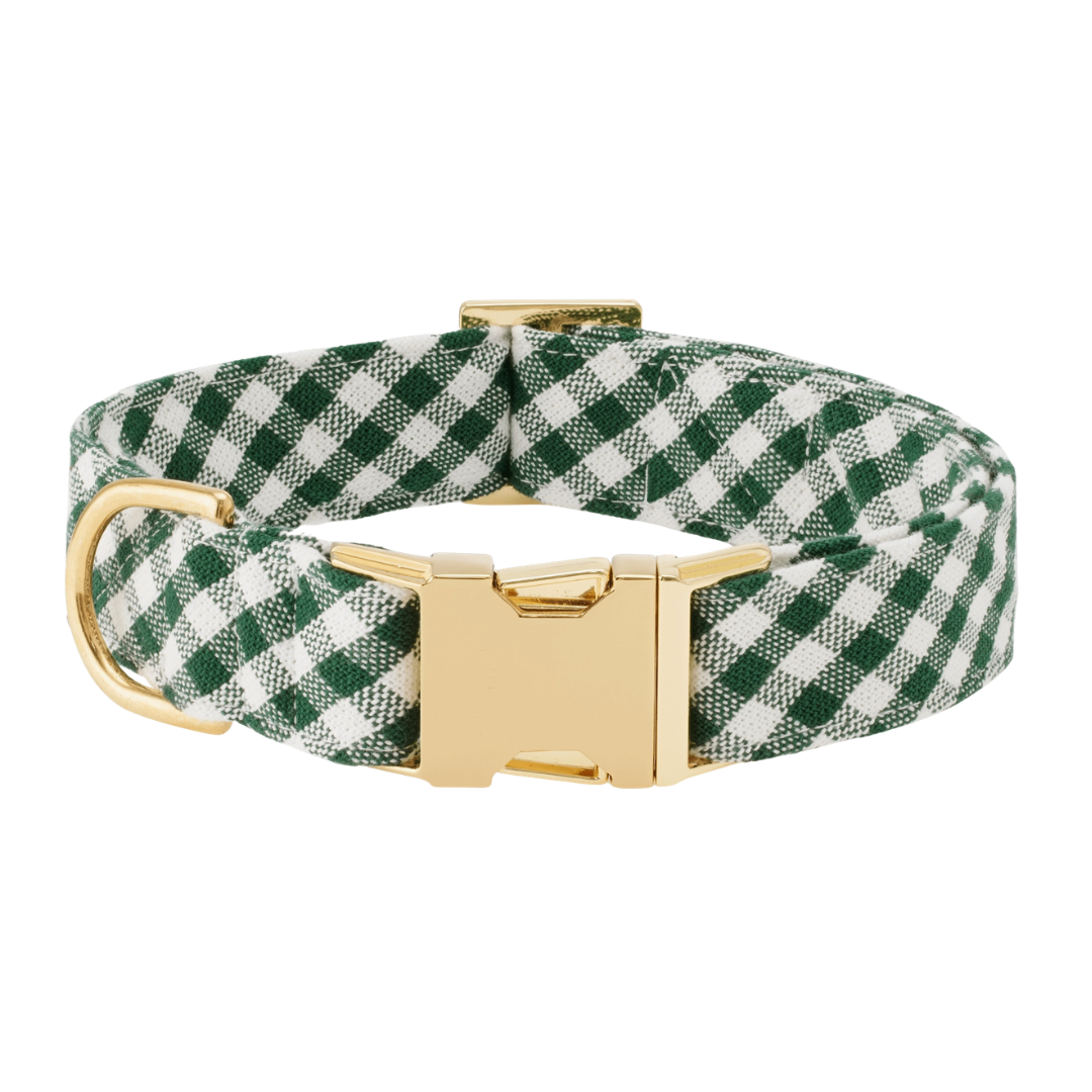 Evergreen Gingham Collar | The Foggy Dog