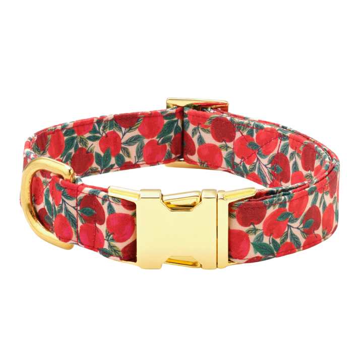Apple Of My Eye Collar | The Foggy Dog