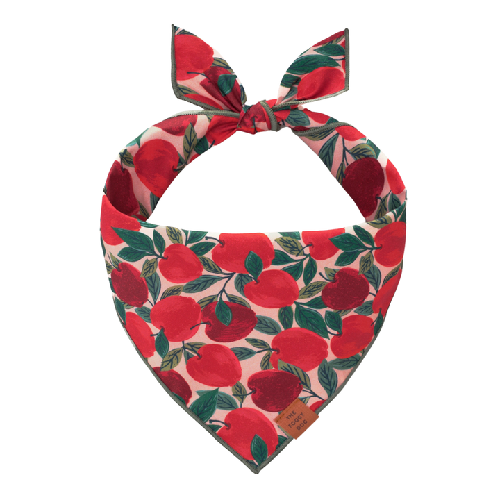 Apple Of My Eye Bandana | The Foggy Dog