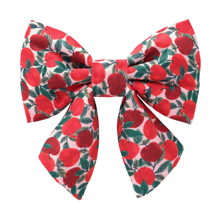 Apple Of My Eye Bow | The Foggy Dog