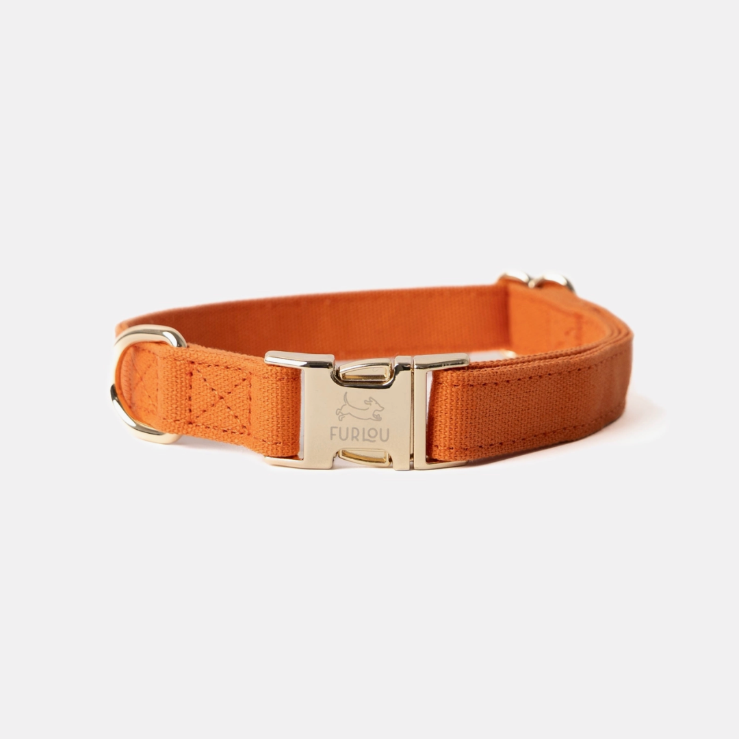 Terracotta Collar | Furlou - Babelle