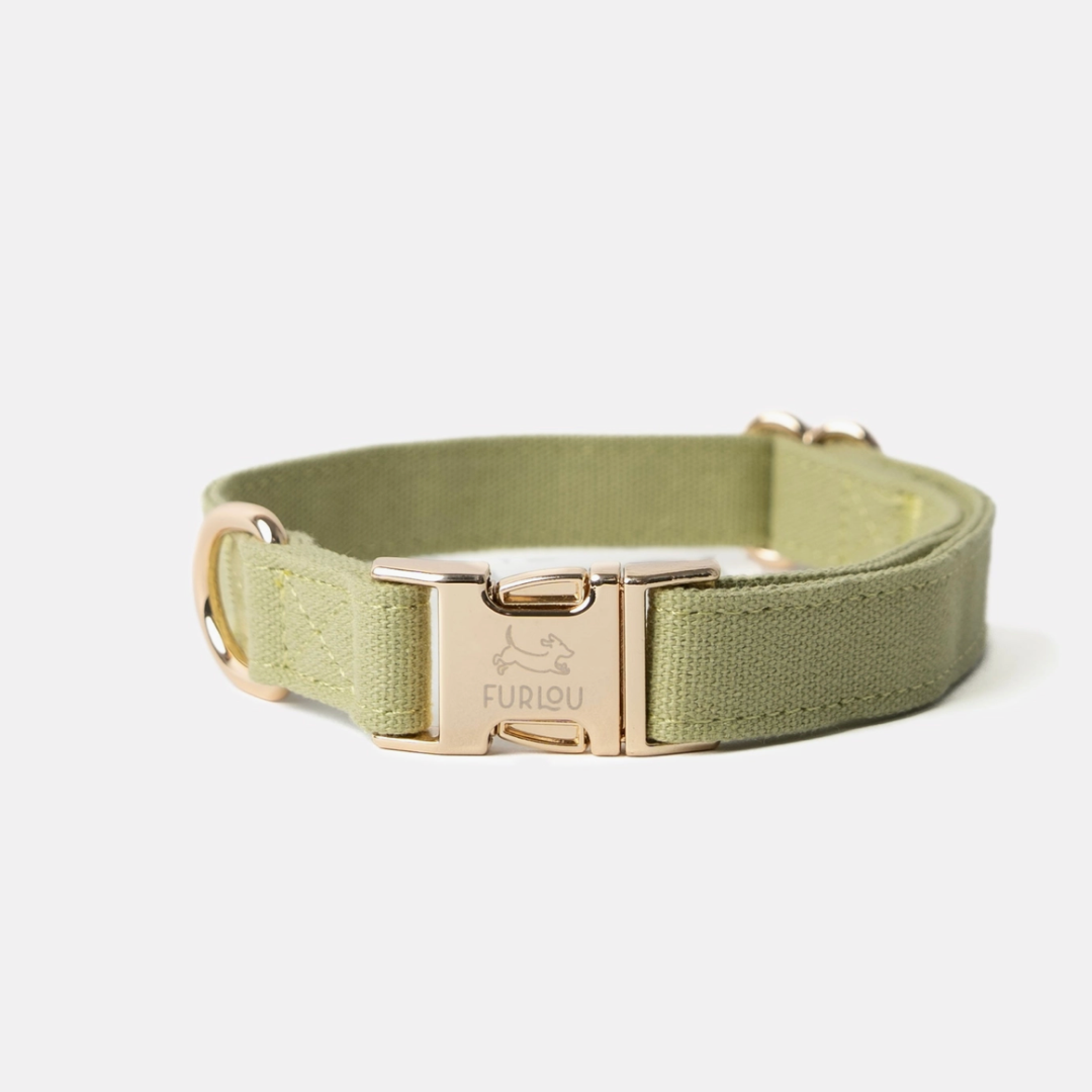 Sage green collar | Furlou - Babelle