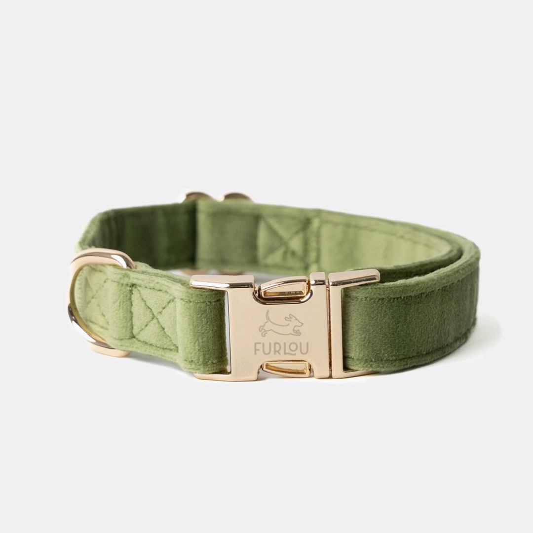 Green Velvet collar | Furlou - Babelle