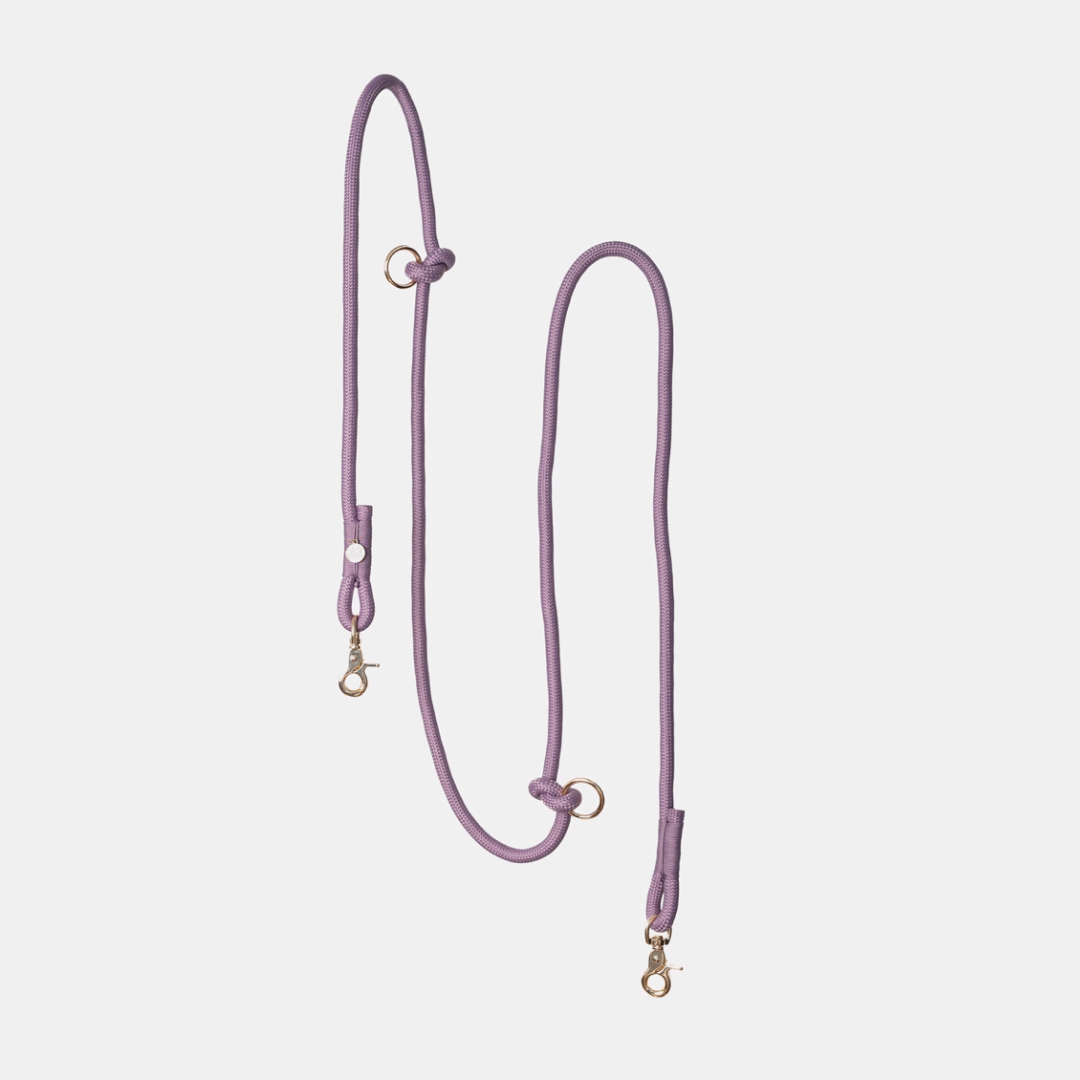 Lavender Handsfree Leash | Furlou - Babelle
