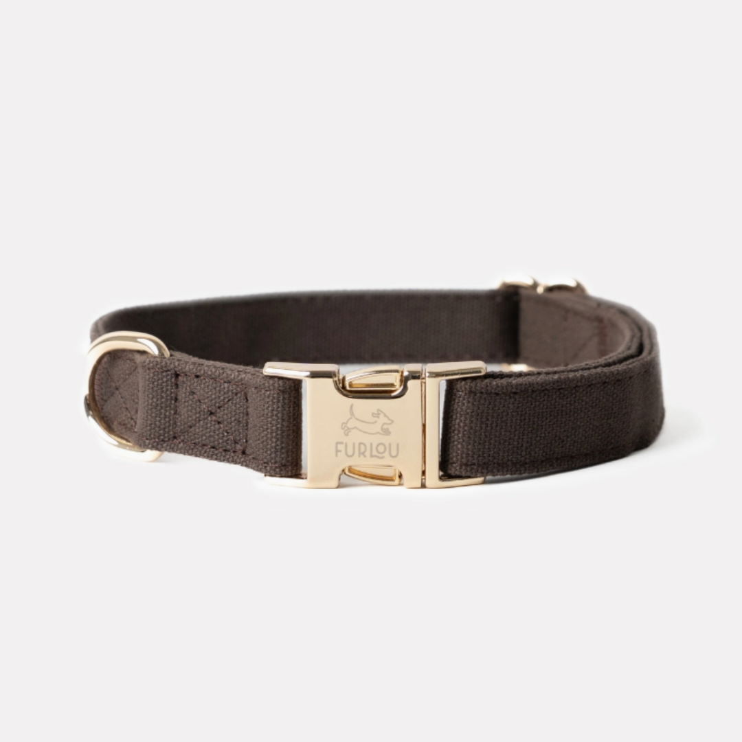 Brown Collar | Furlou - Babelle
