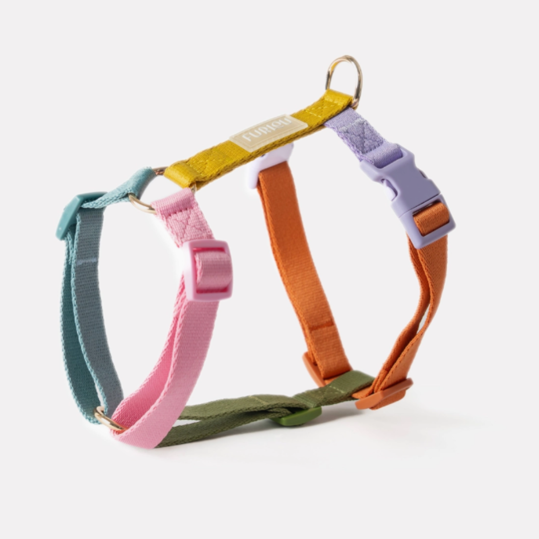 Rainbow Harness| Furlou - Babelle