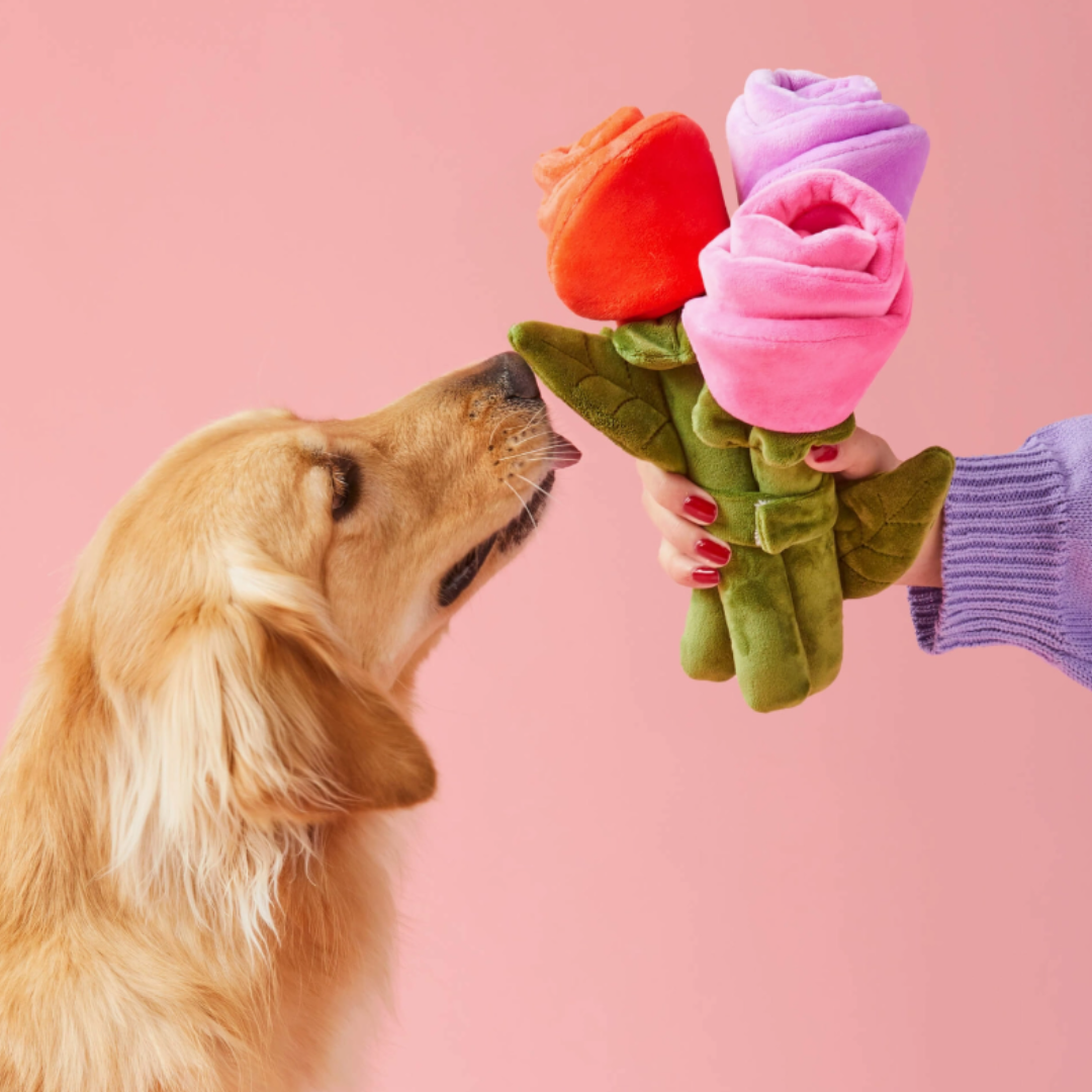 Bouquet Of Roses Snuffle | The Foggy Dog - Babelle