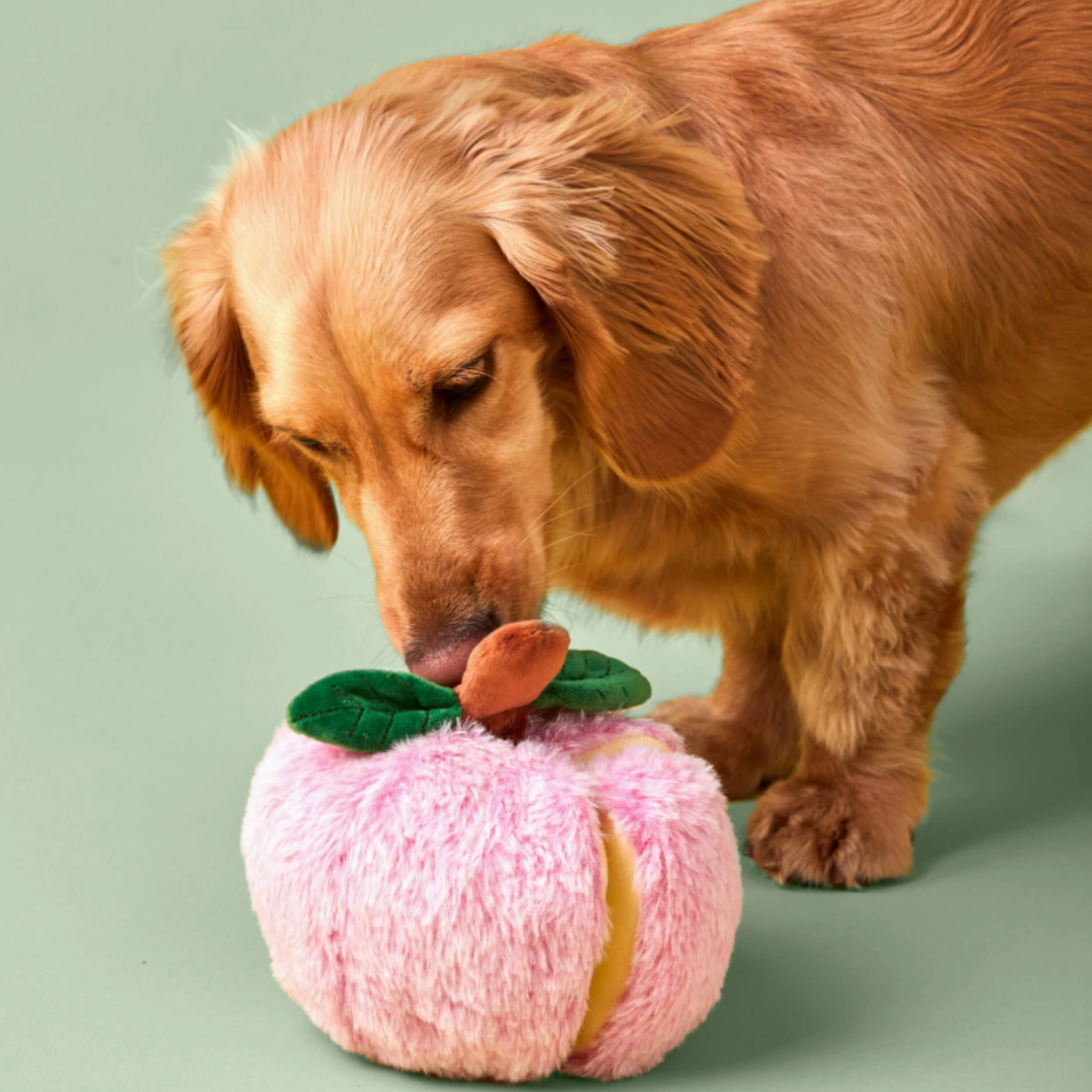 Apple Snuffle Toy | The Foggy Dog - Babelle