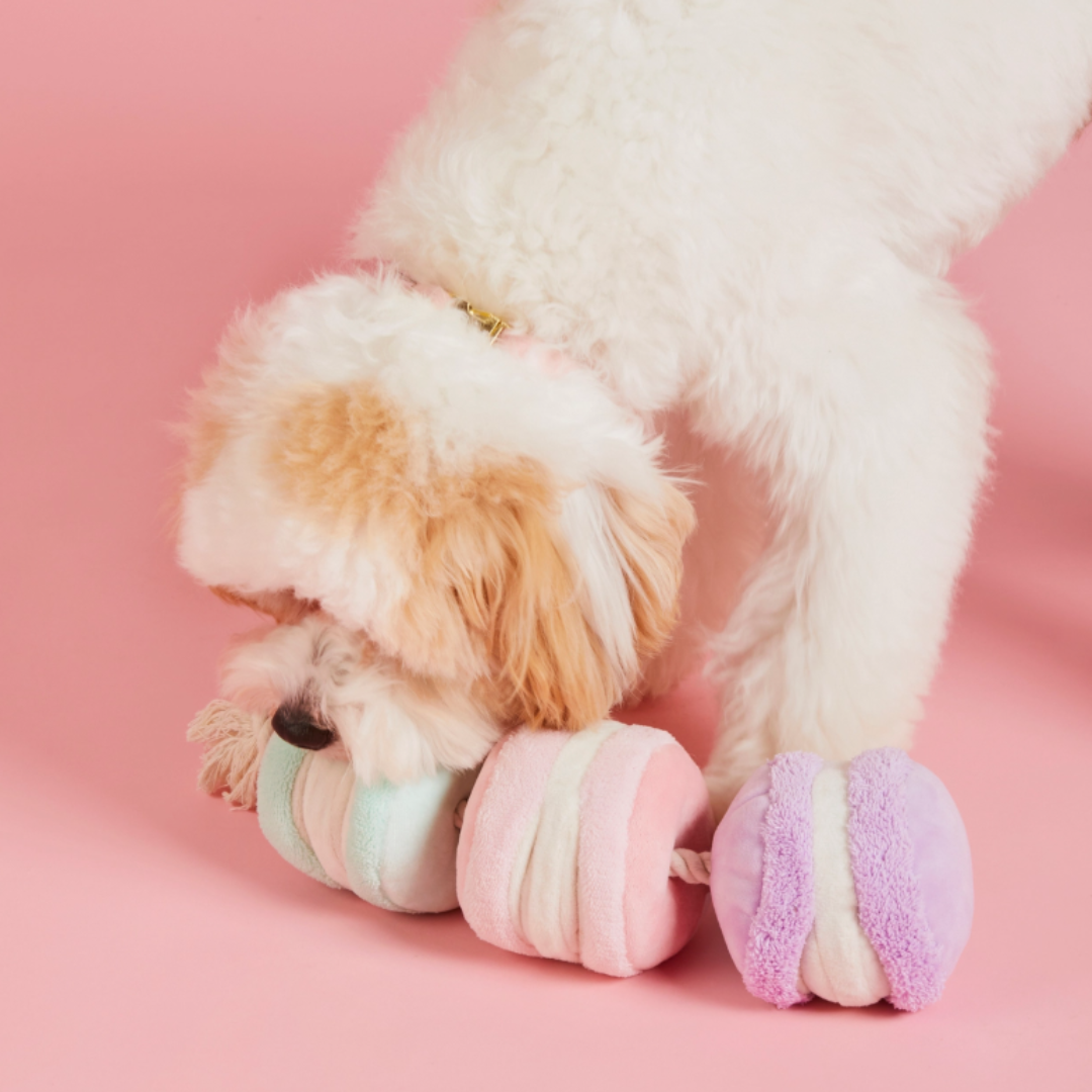 Macaron Snuffle Toy | The Foggy Dog - Babelle