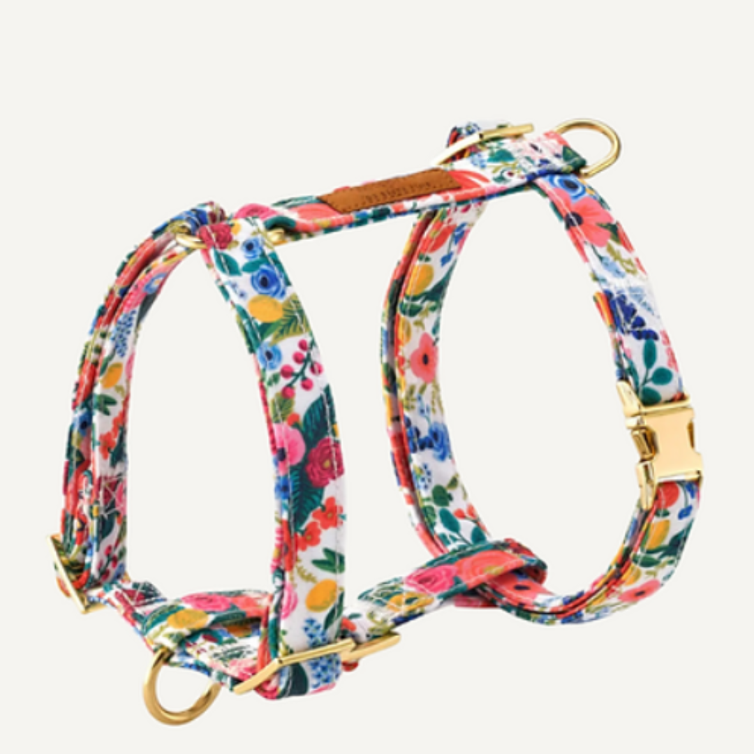 Garden Party Harness| The Foggy Dog - Babelle