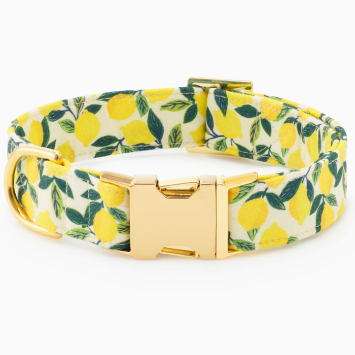 Lemon Zest Collar | The Foggy Dog - Babelle