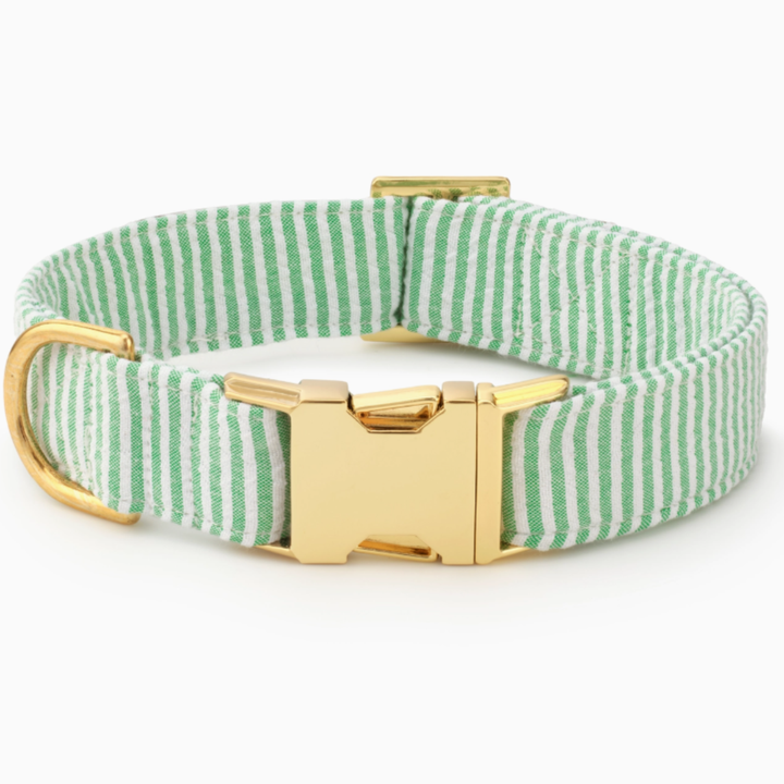 Green Seersucker Collar | The Foggy Dog - Babelle