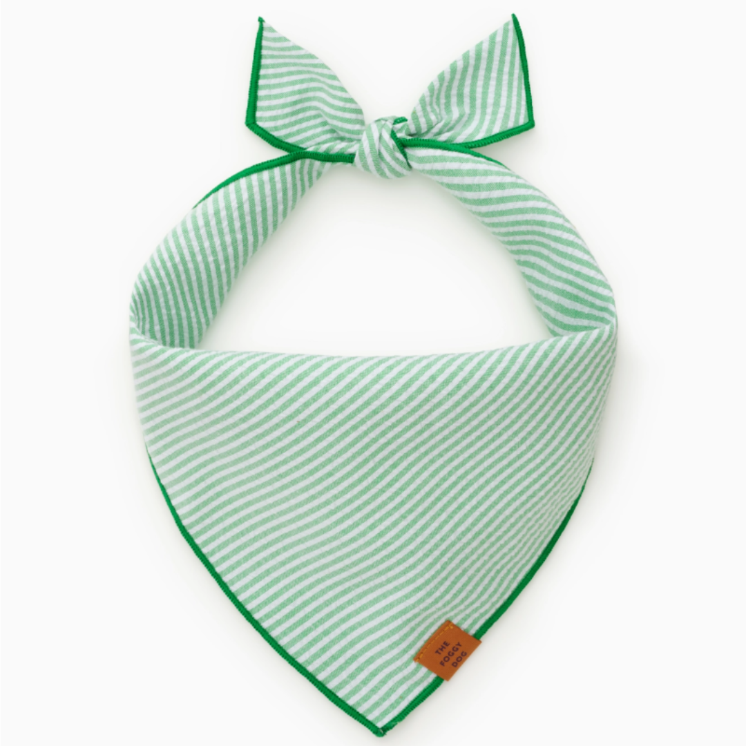 Green Seersucker Bandana | The Foggy Dog - Babelle