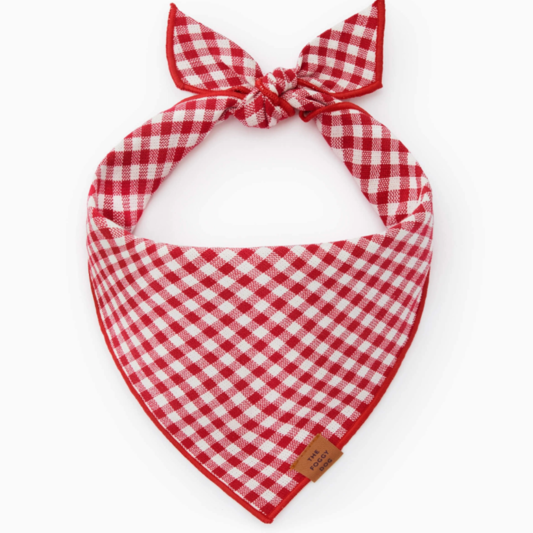 Red Gingham Bandana | The Foggy Dog - Babelle