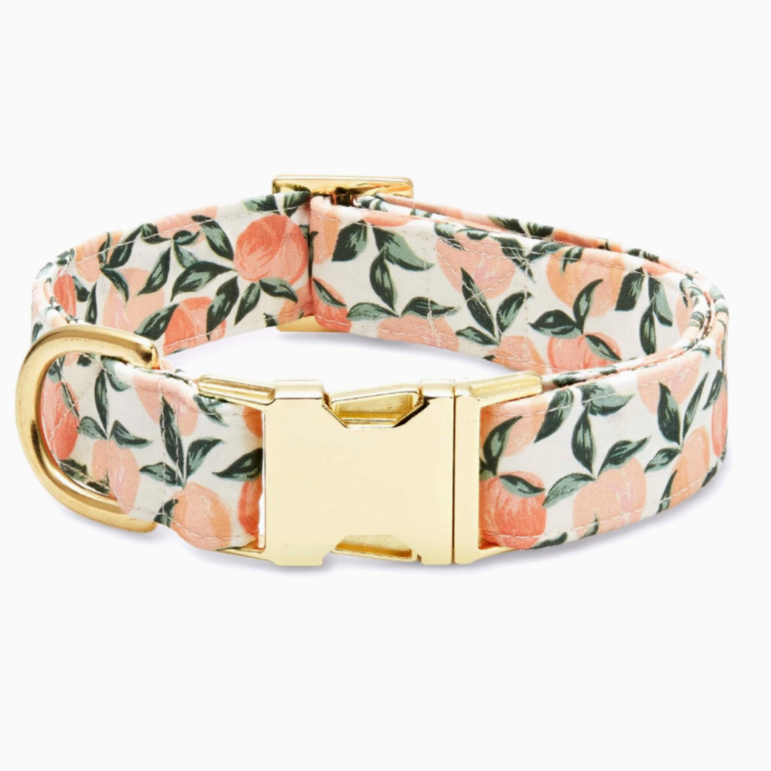 Peaches Collar | The Foggy Dog - Babelle